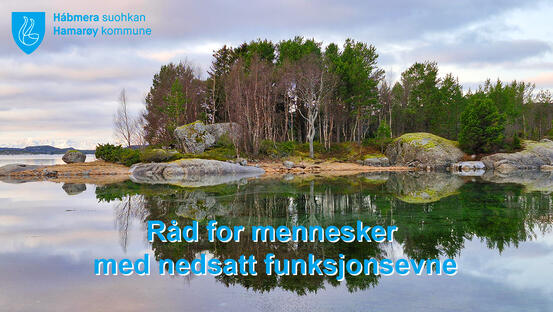 Finnvikholmen