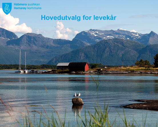 Havet ved Nes, hus, båt, måker