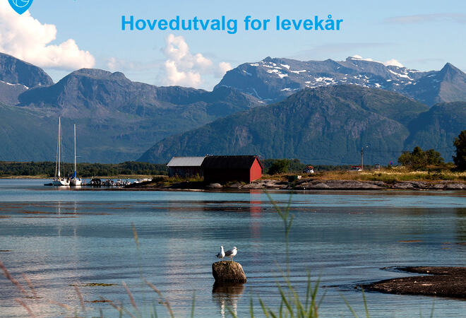 Havet ved Nes, hus, båt, måker