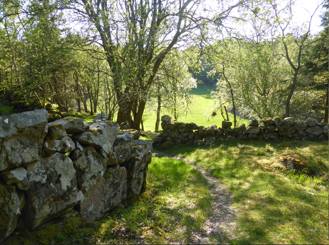 steingard