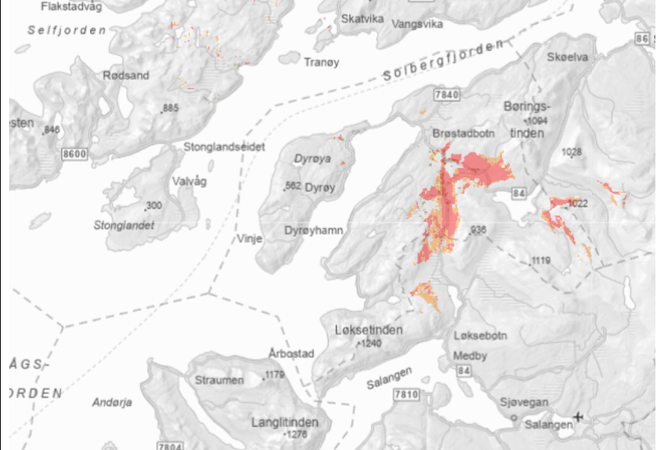 telenor - varsel mars2025-3