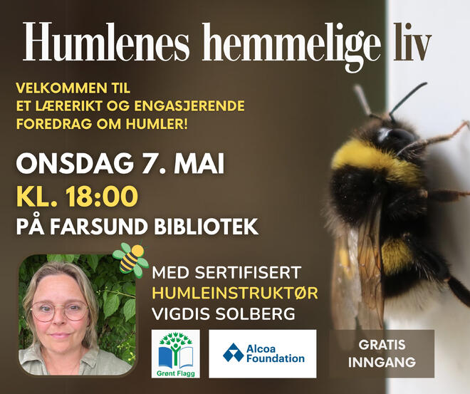 Bilde av en humle og humleinstruktør Vigdis Solberg
