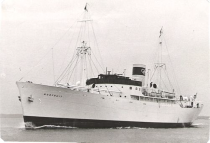 M/S Mosfruit