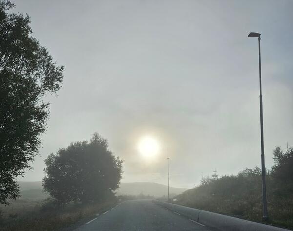 Foto: M. Ytrearne