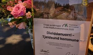 Blomster og pris