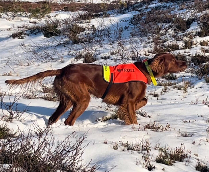 Langsvolas Vv Rå