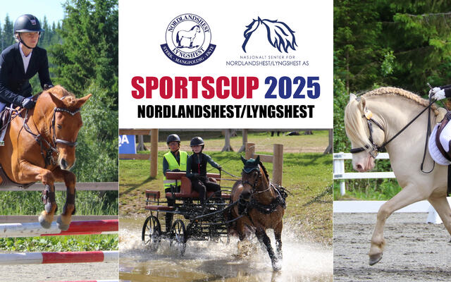 Banner arrangement sportscup 2025
