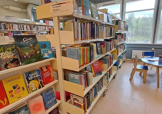 Barnebøker fra hyllene på Drag bibliotekfilial og Drag skoles skolebibliotek