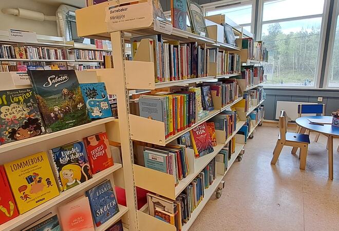 Barnebøker fra hyllene på Drag bibliotekfilial og Drag skoles skolebibliotek