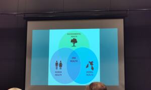 Masse folk sitter i salen og ser på presentasjon