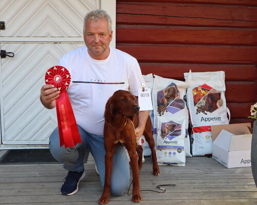 Beste Unghund, Exellent, 4. BTK, CK - Balbergkampens Orakelet Ida