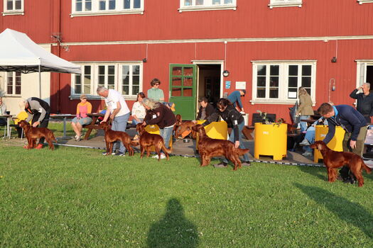 Miljøbilde 5