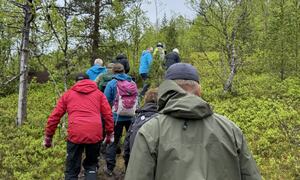 Gruppe turgåere går i én rekke på en smal sti gjennom frodig grønn skog i tåkete vær