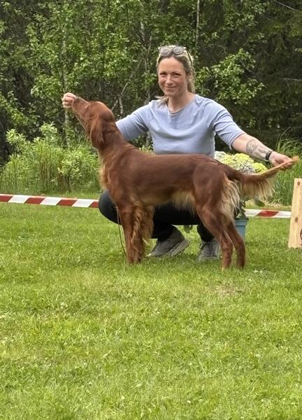 Sølvklumpen`s Zala