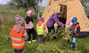 Barn med lavvo