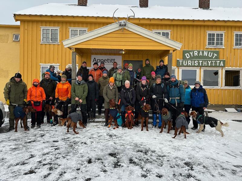 Gjengen på Dyranut