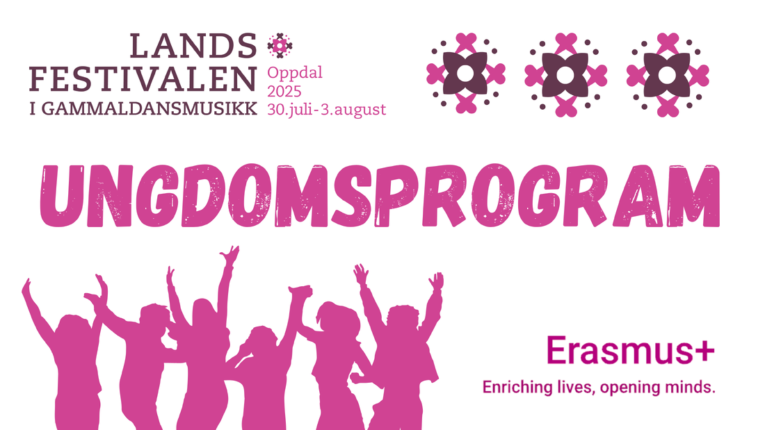 Ungdomsprogram