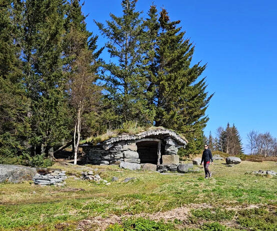 En dame går en tur, gaupahuken bak henne