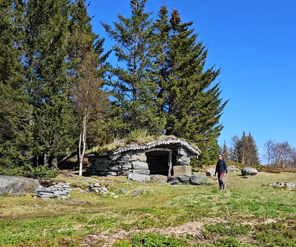 En dame går en tur, gaupahuken bak henne