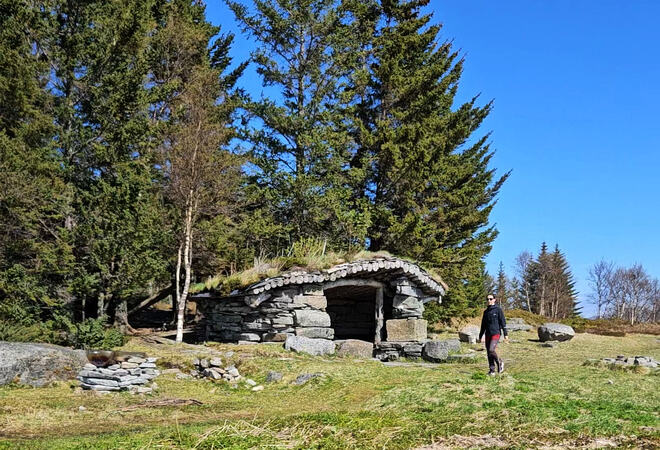 En dame går en tur, gaupahuken bak henne