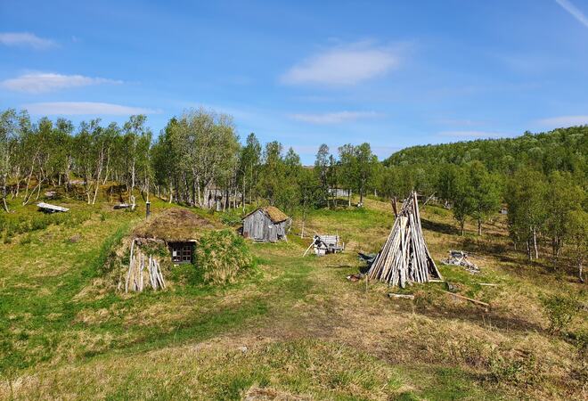 Foto av området