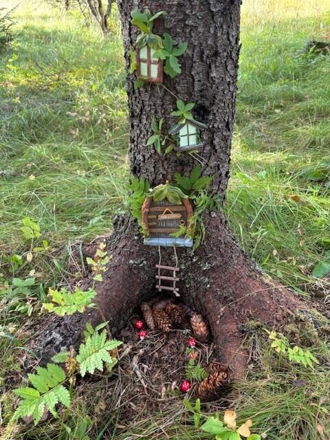 Magisk skog