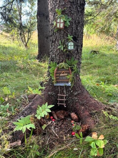 Bilde av huldreskogen