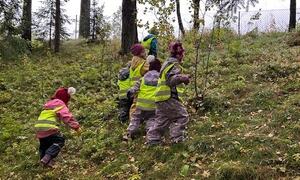 Barn på tur i skogen