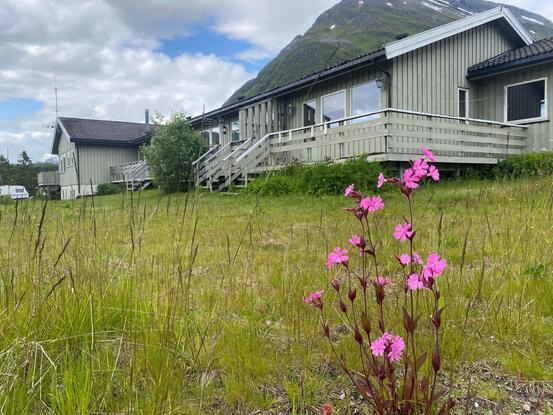 Kløverheimen i Kongsvik tatt fra hagen.