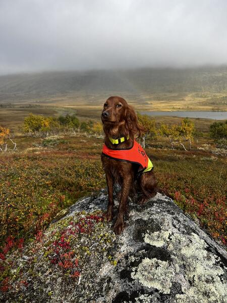 Norrlands Guidens Ep Enya