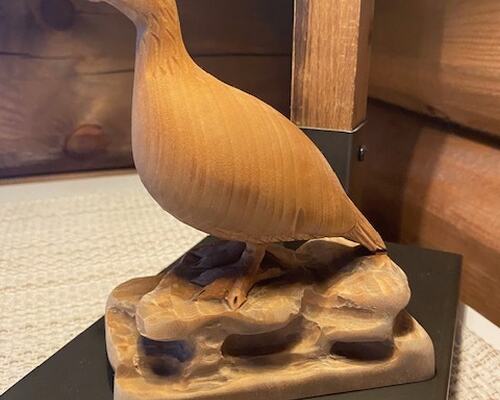 Årets hund 2025 i hver kategori