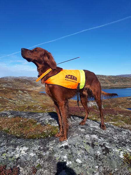 Heggelifjellets UPP Storm