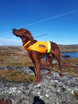 Heggelifjellets UPP Storm 