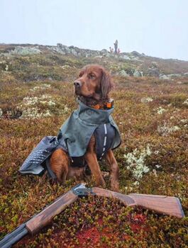 Bjerkaasen\\\'s FM Fenrik