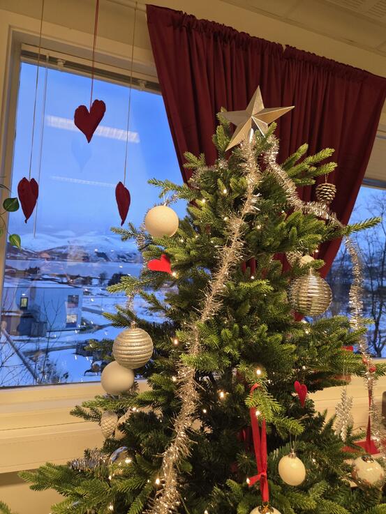 Foto: privat Bilde av pyntet juletre