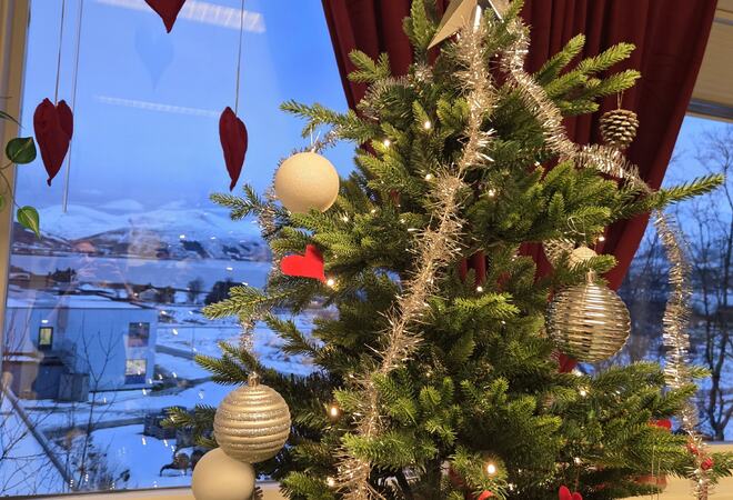 Foto: privat Bilde av pyntet juletre