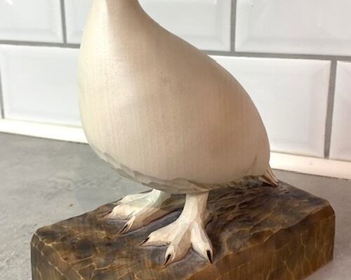 Premie Årets irsk setter