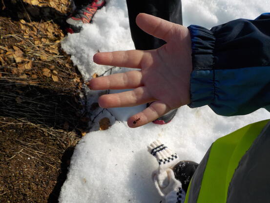 Foto: privat Bilde av barnehånd