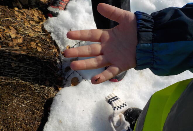 Foto: privat Bilde av barnehånd