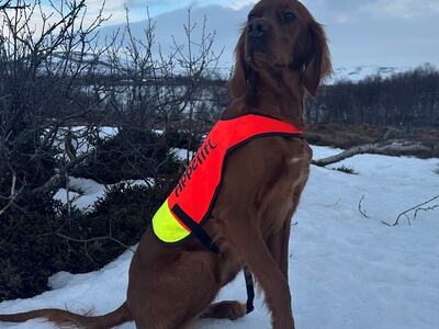 Balbergkampens Klara