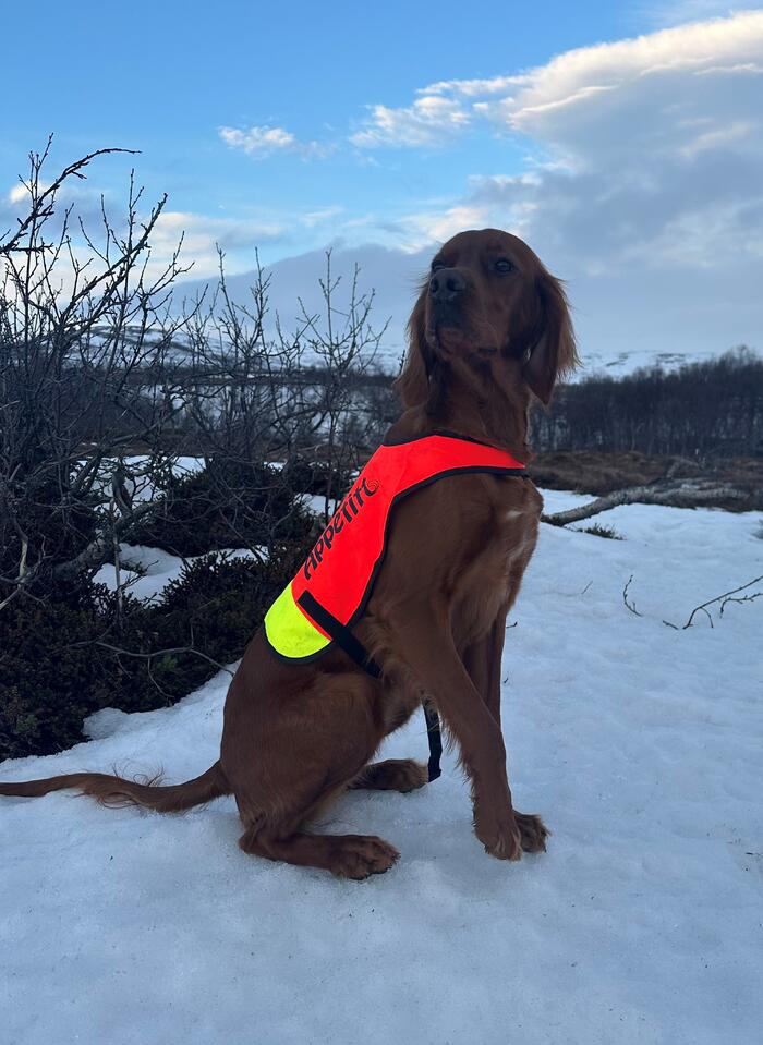 Balbergkampens Klara