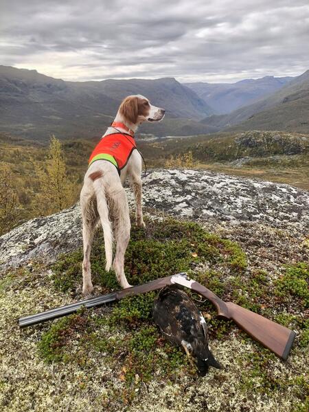 Tangsethers Alpe-Alpina3