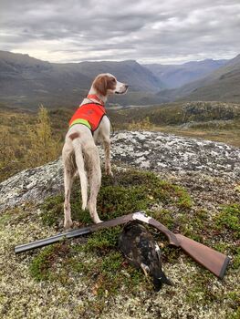 Tangsethers Alpe-Alpina3