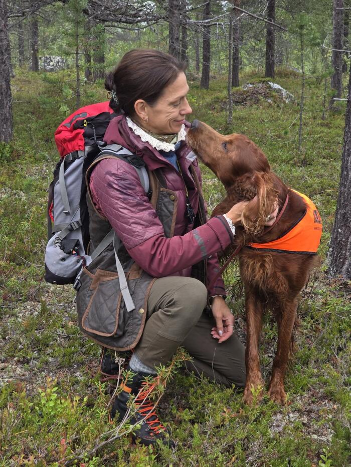 Rastaskogens D-Charlie Too NM skog 2025