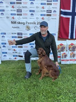 Vinnåsens Pia NM skog 2025