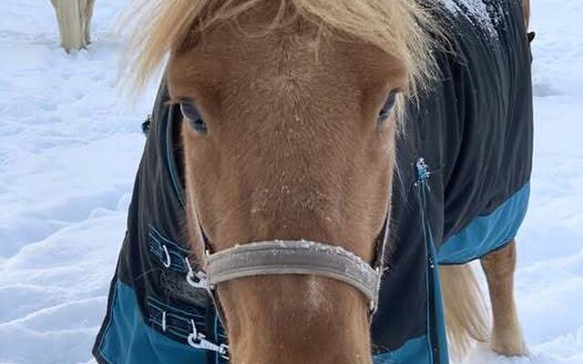 620135208_1636189434603463_1434078209973196768_n