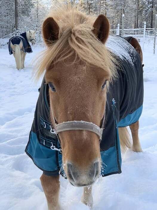 620135208_1636189434603463_1434078209973196768_n