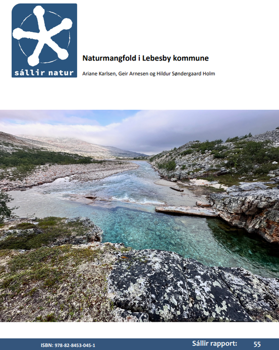 Motiv fra øvre deler av Stuorrajohka i søndre deler av Lebesby kommune. Foto: Geir Arnesen