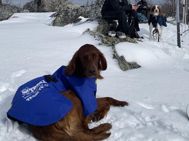 Heggelifjellets VF Maddox