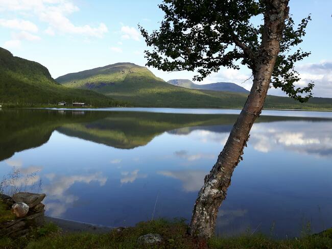 Foto: Revvannet, Janne Johansen Foto av Revvannet